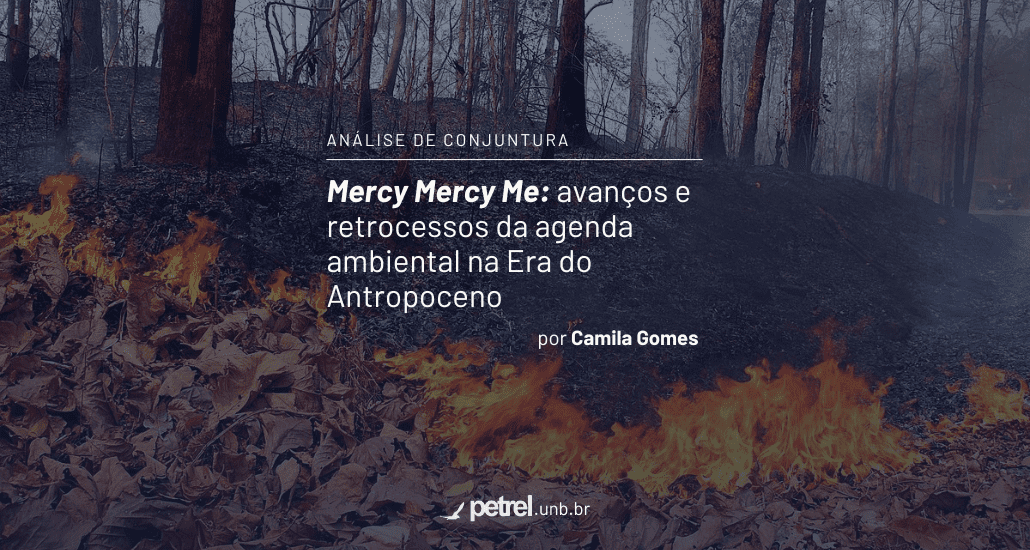 Mercy Mercy Me: avanços e retrocessos da agenda ambiental na Era do Antropoceno