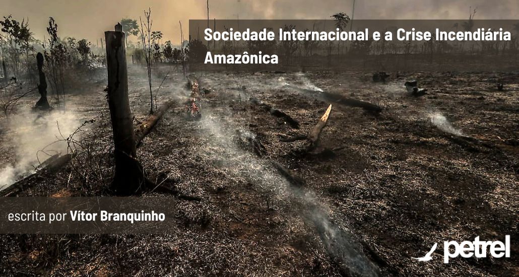 Sociedade Internacional e a Crise Incendiária Amazônica